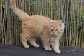 k-DSC_0554 (3)